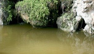 Still Water / Imitacja Wody